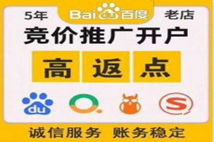 行业领先SEM竞价员的策略与实战案例